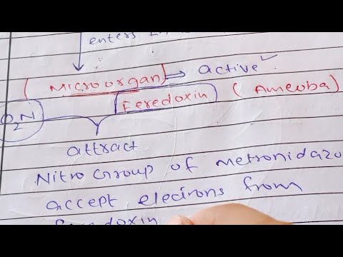 Metronidazole mechanisms of action - YouTube