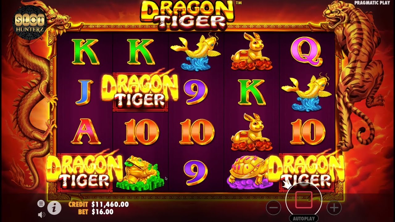 Novo Jogo Pragmático Dragon Tiger Slot