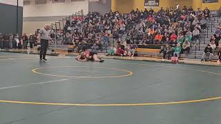 Sofia Rodriguez V Hamilton