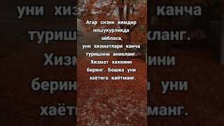 Статуслар хает хакида☘️, севги❤️,  хикматли сузлар#статусы#жизнь #любовь #status #statusvideo #sevgi