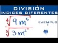 División de radicales con indices diferentes | Ejemplo 1