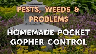 Homemade Pocket Gopher Control