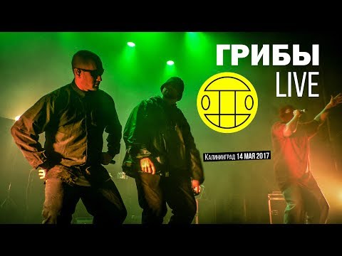 Грибы – Полный концерт в Калининграде // 14.05.2017