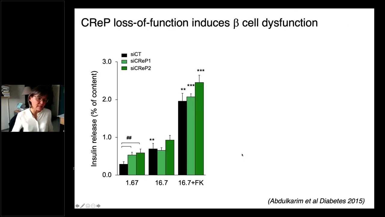 Rare diabetes endoplasmic reticulum stress clinical features & novel stem cell-based models