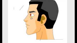 Coloring in Adobe Flash CS3