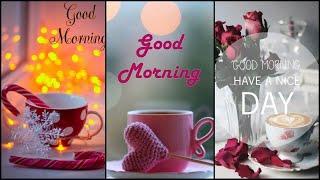 Beautiful Good morning dp pic|#Good morning dp|#Good morning dp whatsapp|#Good morning dp status| #1 screenshot 5