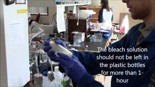 Phage Precipitation Procedures M13