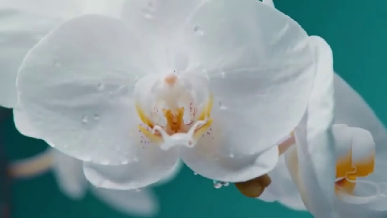 Beautiful Piano Music, Relaxing your with Piano Rythm Sleep Music