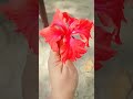#romanticsong #musicvideo2026 #tiktokviralsong #lovemusic #flowers #garden #lovesong