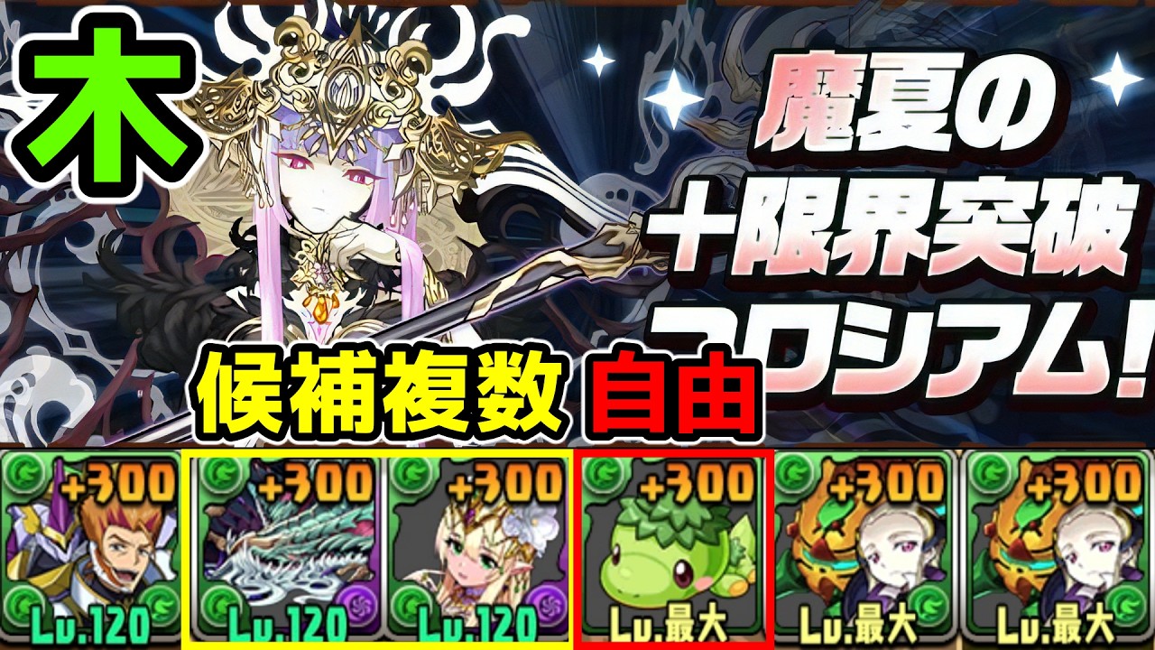 木属性】自由育成枠あり！魔夏の限界突破コロシアムVV編成【パズドラ
