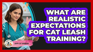 What Are Realistic Expectations For Cat Leash Training? - Happy Cat Handbook