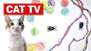 [CAT TV] videos for cats to watch7Hourscat toy