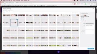 How to Edit the Header Image | Divi Theme Builder Tutorial