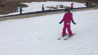 Beech Mountain Skiing