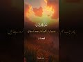 Surah Younis Tilawat Brings Calm Every Morning #quran