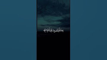 سورة المزمل القارئ شريف مصطفى