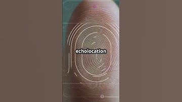 How ultrasonic fingerprint unlock work? #tech #shorts #security #smartphone #luxury