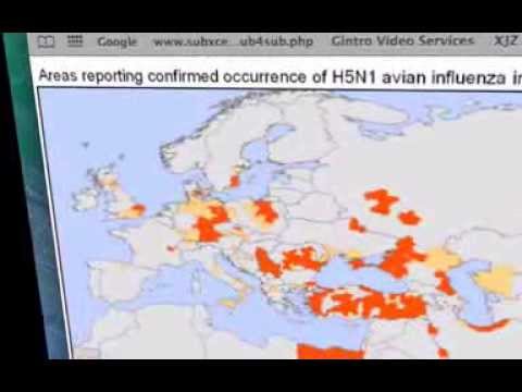 bird flu http://fortnite.com/2fa