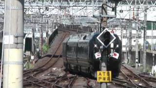 お召し列車 Royal train E655 日章旗と菊の御紋をつけて蘇我到着