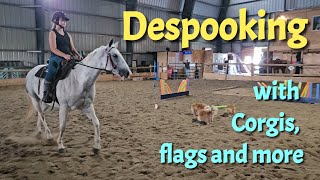 From Spooky to Steady: Confidence-Building Trail Training with Pudge the Horse