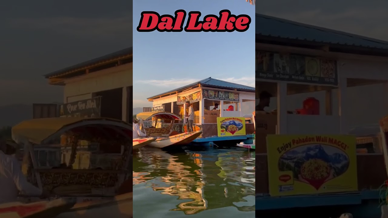 DAL LAKE Documentary 😍 Nomad Ashutosh 