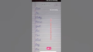 Wild animals in cursive writing. #calligraphy #handwriting #calligrphylearning #art