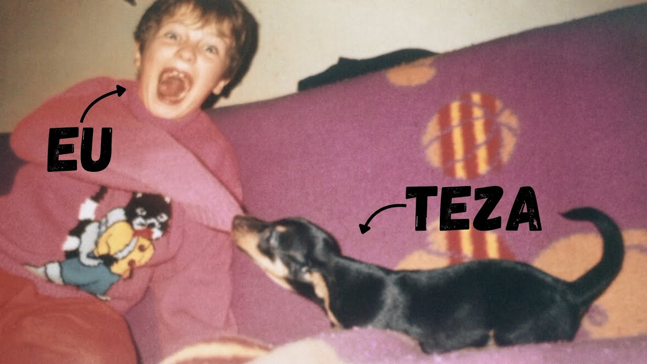 Povestea doctoratului meu (și trei lecții învățate)