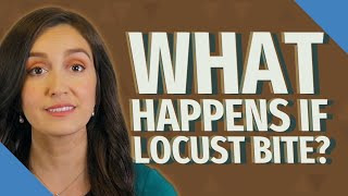 What happens if locust bite?