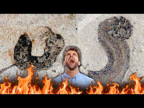 New Fossils Silence Evolution Deniers Forever