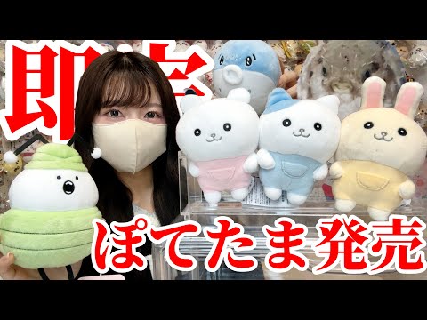 Chiikawa] A divine lineup! Sold out in an instant! Potetama
