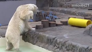 痛いの痛いの飛んで行け　デナリ~Pain, pain, go away