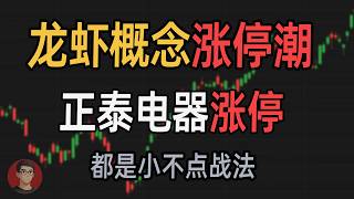龙虾概念涨停潮，顺网科技、正泰电器涨停，小不点战法解析（0309）