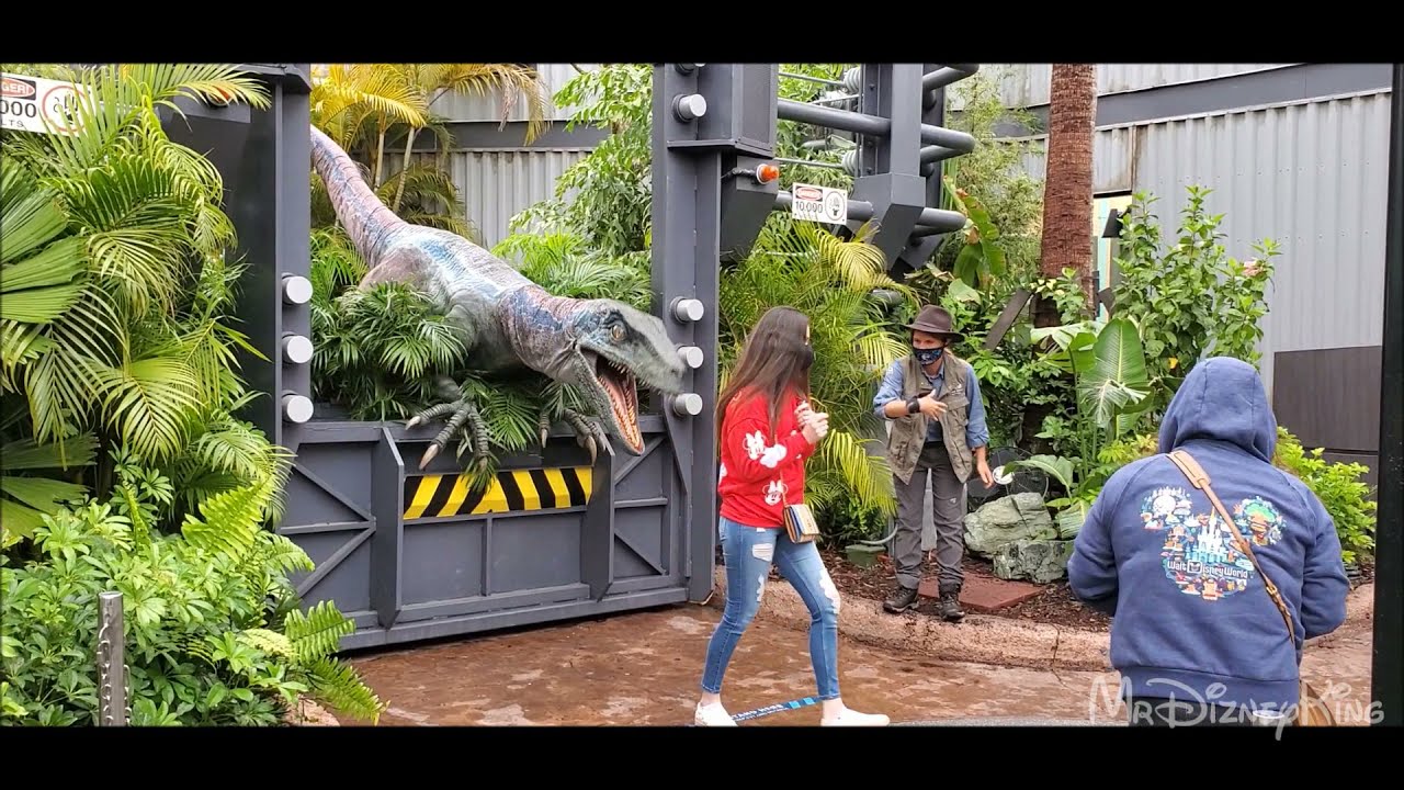 Blue Raptor Universal Hilarious Raptor Encounter with Blue at Universal Studios Orlando - YouTube