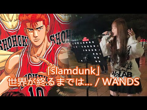 【slamdunk】Chinese street singing“世界が終るまでは”【Cover by 樱萍Apple】