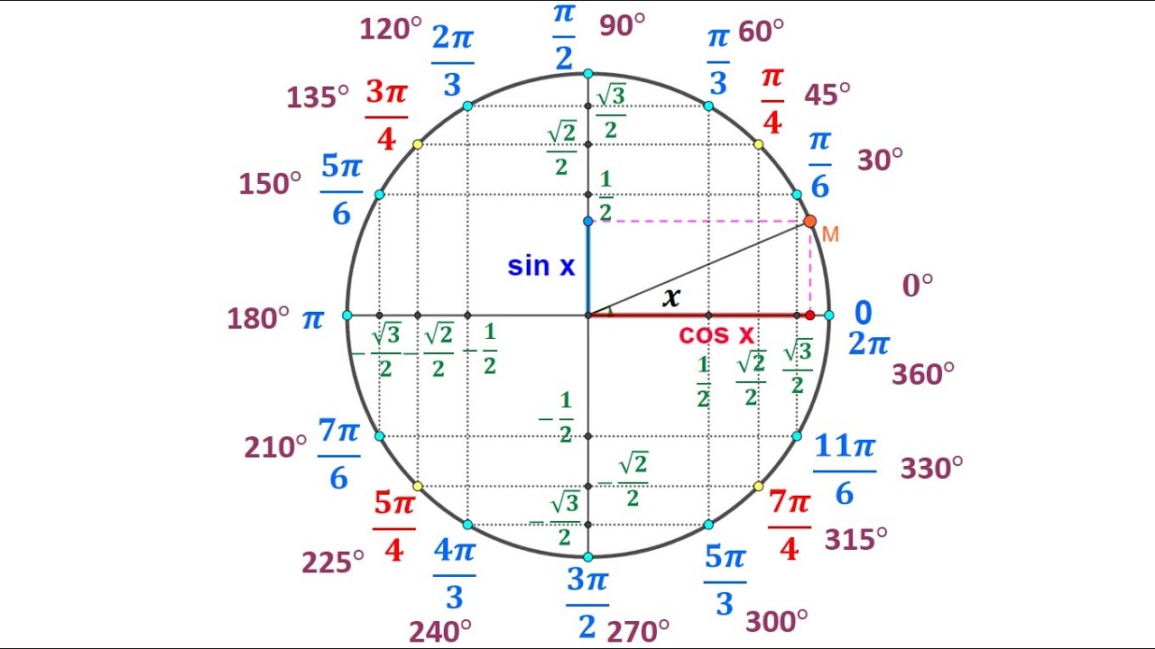 الدائرة المثلثية من الألف إلى الياء للسنة الأولى ثانوي