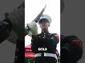The Most Elite Uniform in the World #usarmy #marine #militaryeverything