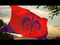 Naboo flag  star wars episode i  the phantom menace