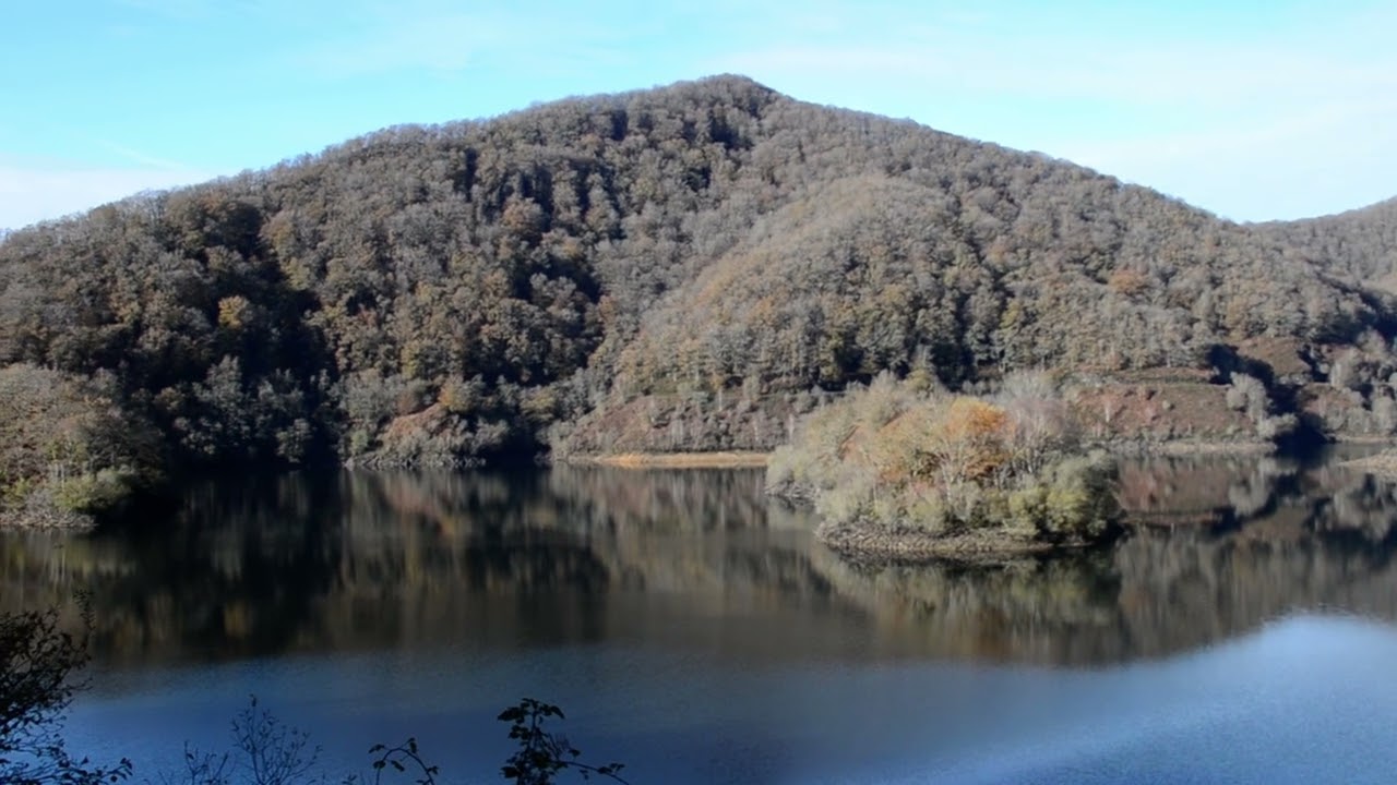 Urtegia eta hariztia...Añarbe.