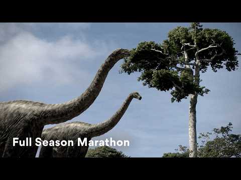 The Forces That Shape Life Needs Celebrating! | Life Force S1
