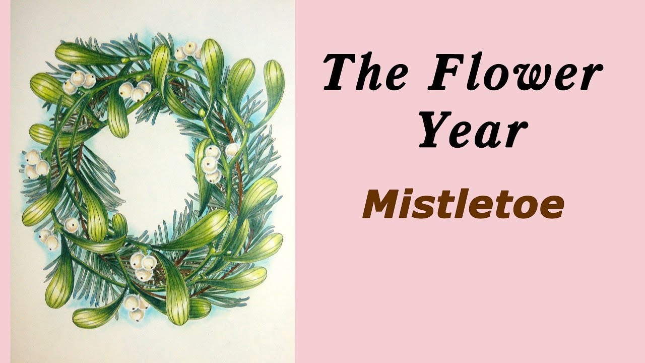 Coloring 'The Flower Year' Mistletoe / Colored pencils