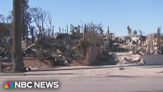 'It's gone. It's decimated': Pacific Palisades resident vows to rebuild
