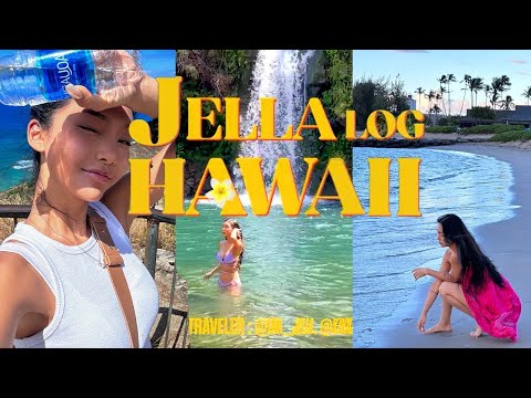 🌋Hawaii  / <strong>maui</strong> 🤎  / 트레킹🏃🏽‍♀️, 헬기투어🚁, 거북이랑 수영🐢  / jella 젤라