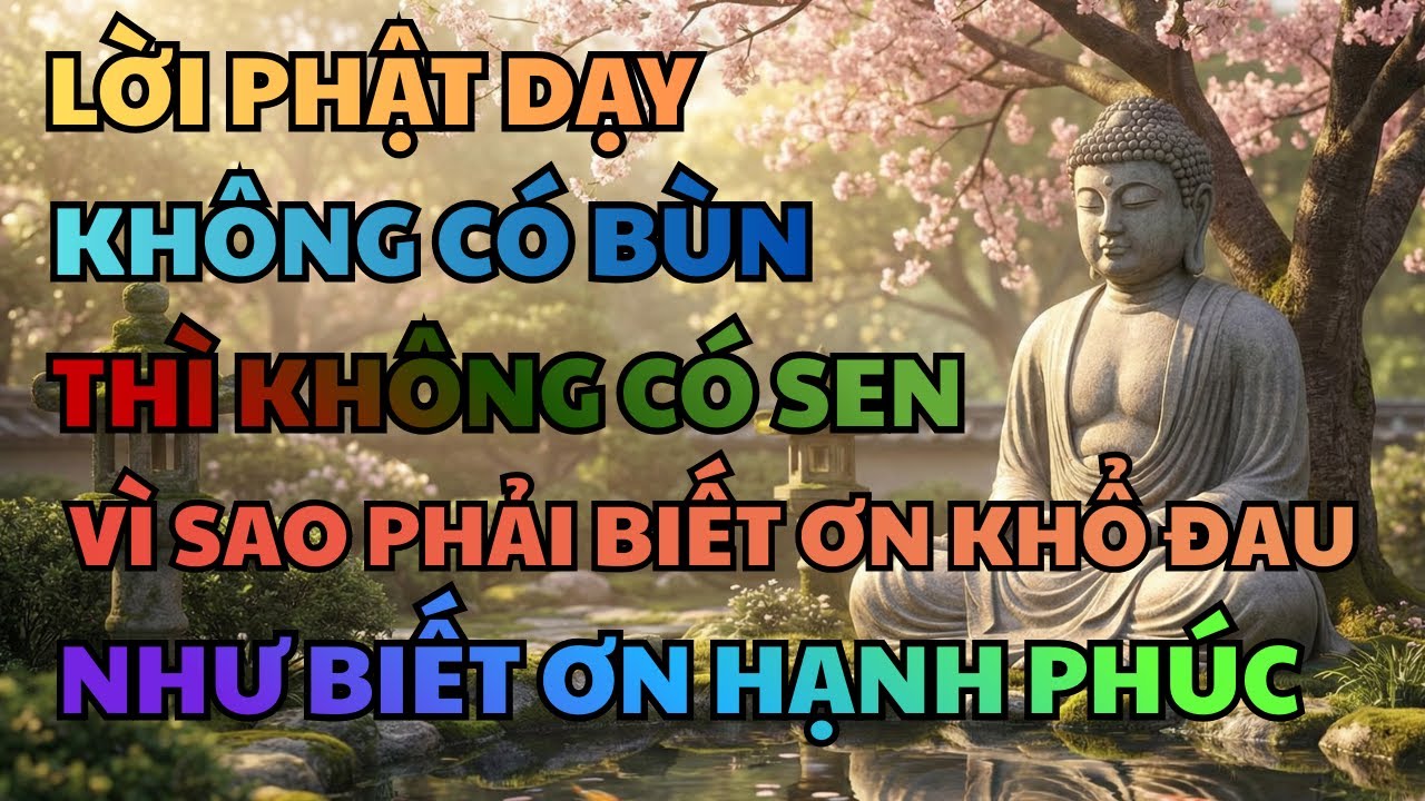 LỜI PHẬT DẠY: KHÔNG CÓ BÙN THÌ KHÔNG CÓ SEN - VÌ SAO PHẢI BIẾT ƠN KHỔ ĐAU NHƯ BIẾT ƠN HẠNH PHÚC?