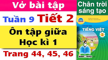 Vở bài tập Tiếng Việt Lớp 3 Tuần 9 | ÔN TẬP GIỮA HỌC KÌ 1 | TIẾT 2 | Trang 44, 45, 46 | Chân trời