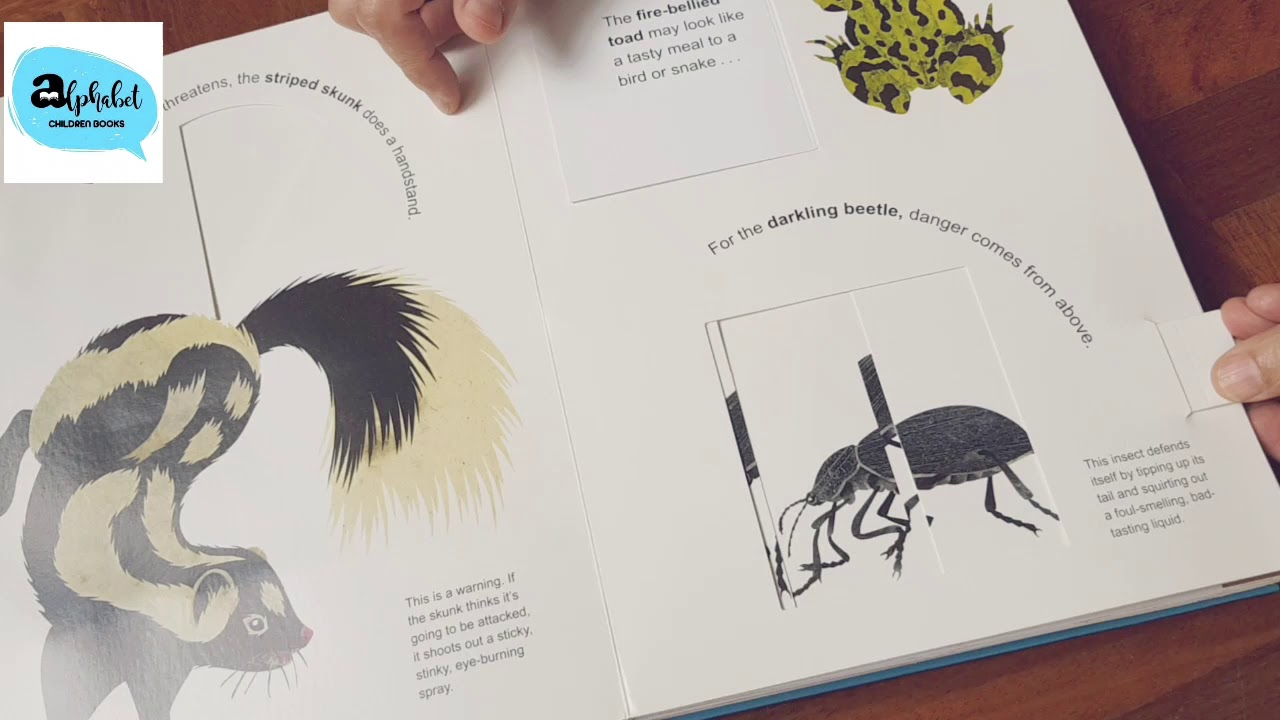 Animal Upsidedown by Steve Jenkins and Robin Page YouTube