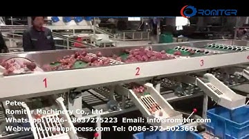 Full Automatic Drum Type Onion Size Sorting Grading Machine
