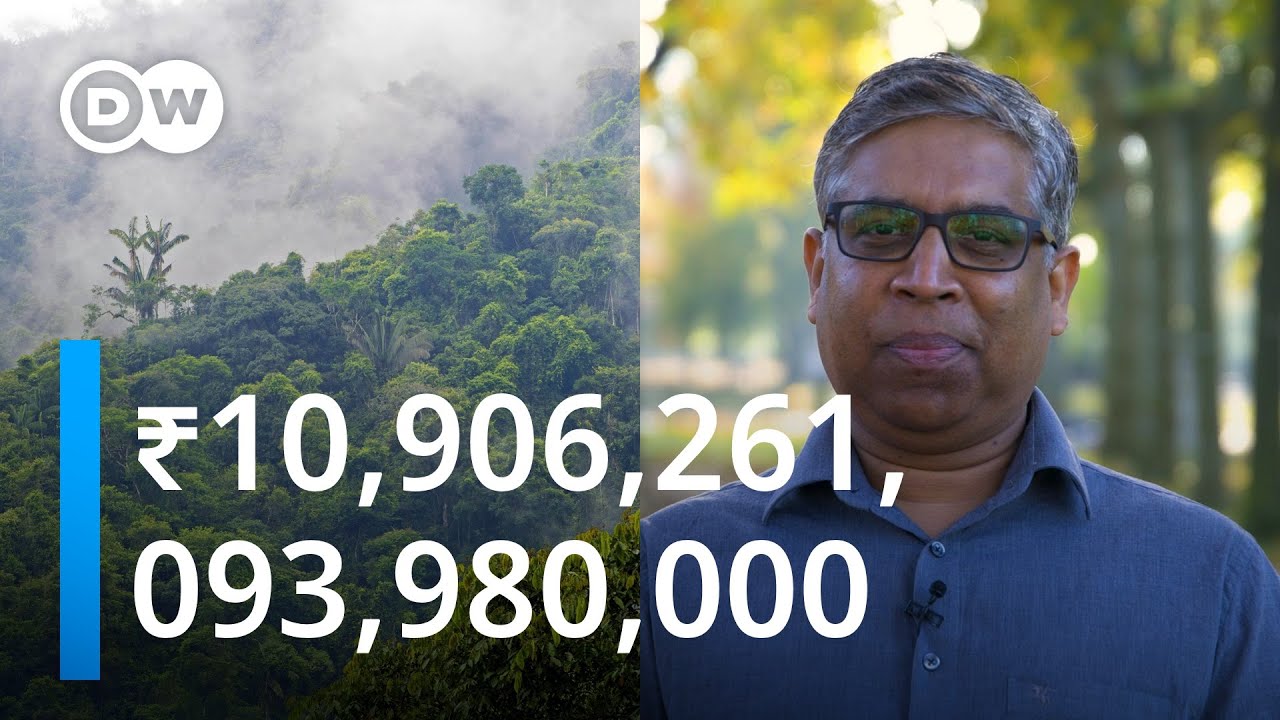  Why Are Forests So Valuable YouTube