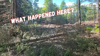 Winter Damage to the Property