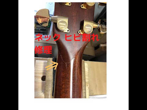 ケルン 川越 市