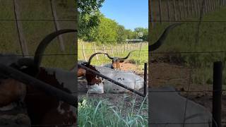 Locating the Groundwater Before Drilling | Well Water Finders #groundwater #waterwells